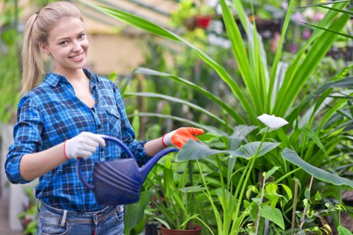 Senior review of an unresolved landscaping service issue