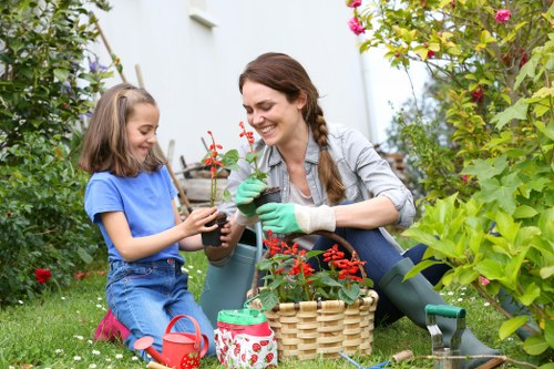 Inclusive Harrow landscaping website experience