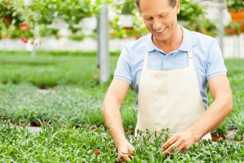 Professional landscaping safety measures with tools and PPE in Harrow