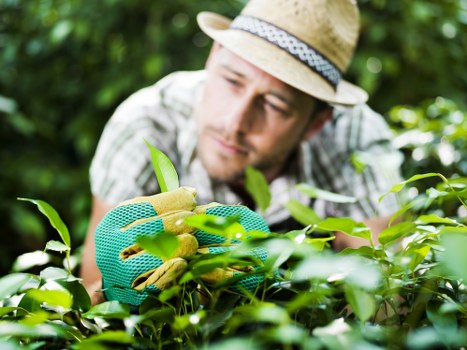 Public liability insurance and safety planning for Harrow landscaping