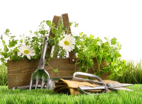 Free quote discussion for Harrow landscaping work
