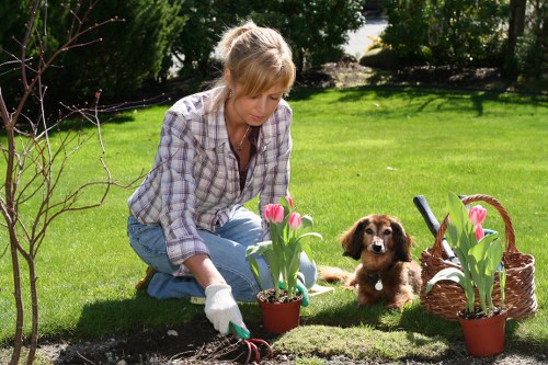 Outdoor landscaping quotation and planning documents