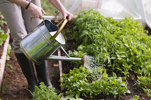 Local garden drainage service for homes and businesses in Harrow