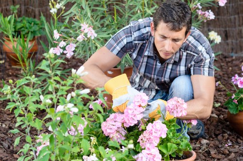 Local soft landscaping in Harrow showing garden improvement for a home or commercial property
