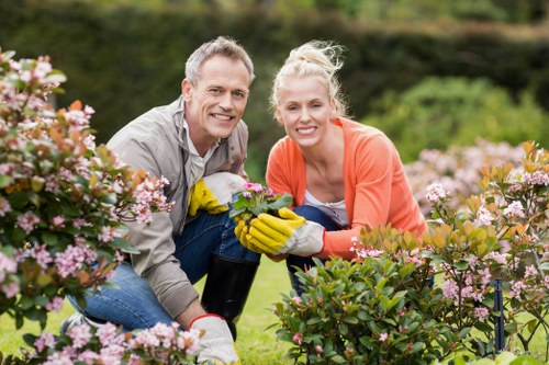 Screen reader support for Harrow landscaping information